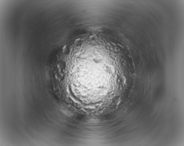 X0000068720658200605051434