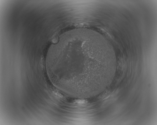 X0000068720659200605051434