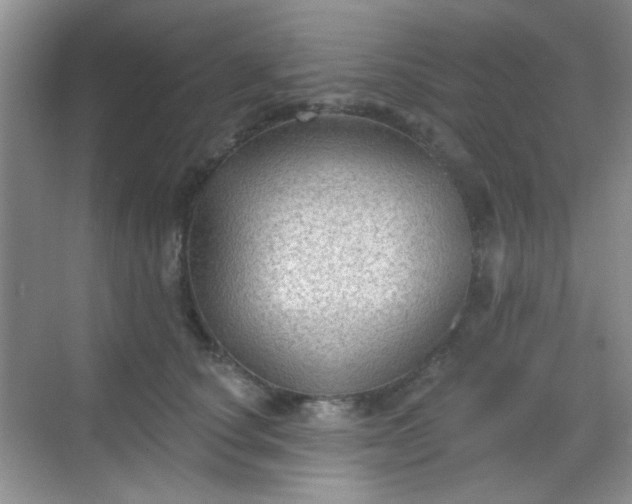 X0000068720660200605051434