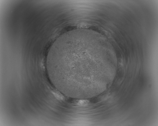 X0000068720663200605051434