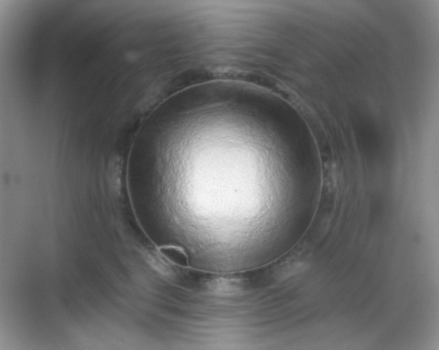 X0000068720664200605051434