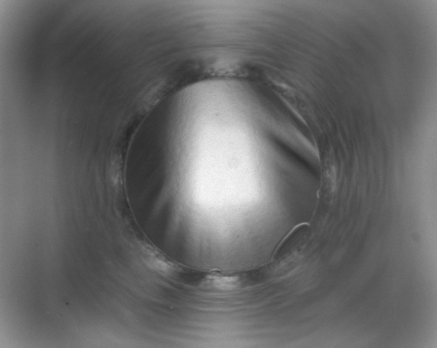 X0000068720665200605051434