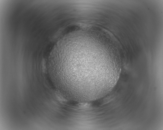 X0000068720667200605051434