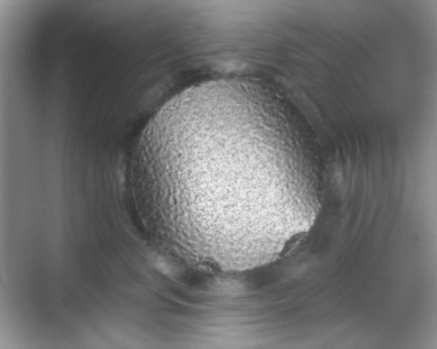 X0000068720668200605051434