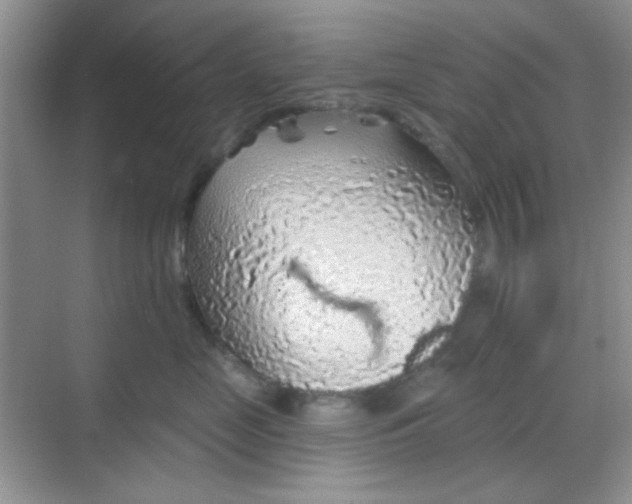 X0000068720669200605051434