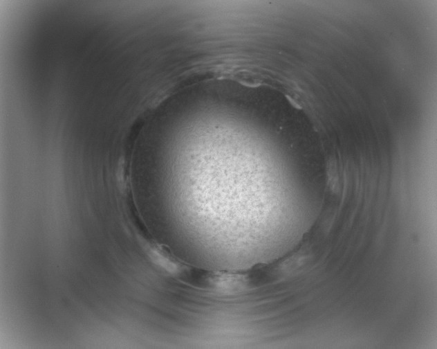 X0000068720670200605051434