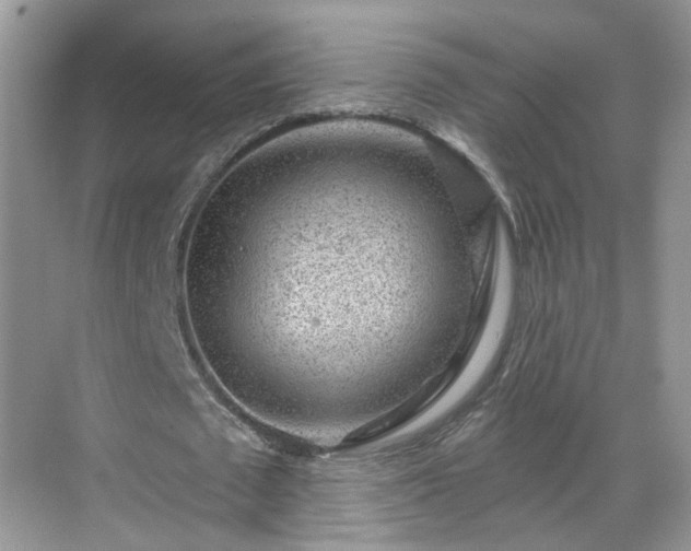 X0000068720673200605051434