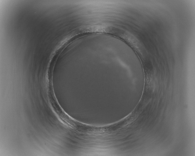 X0000068720674200605051434