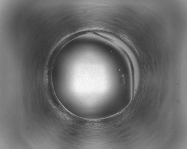 X0000068720676200605051434