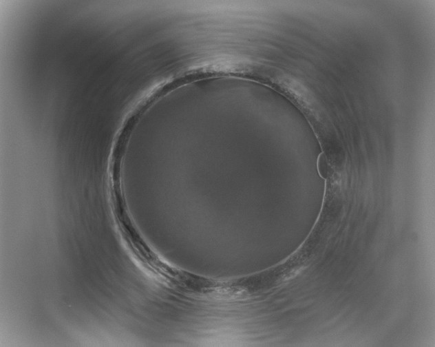 X0000068720678200605051434