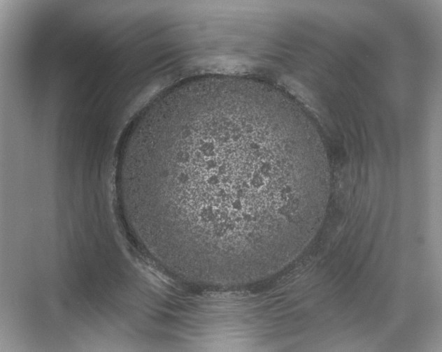 X0000068720679200605051434