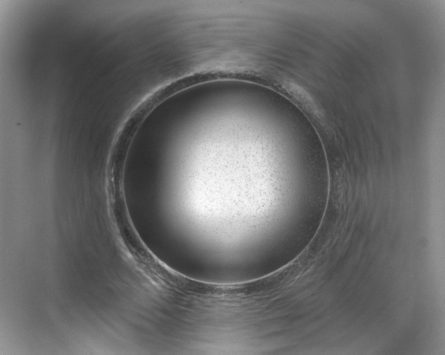 X0000068720680200605051434