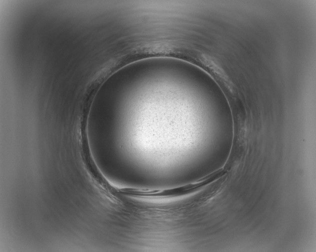 X0000068720681200605051434