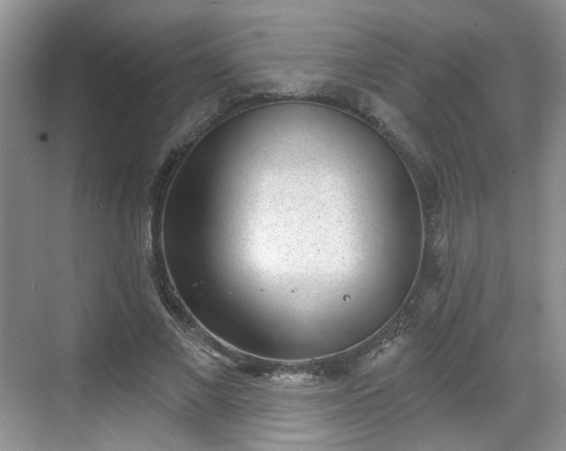 X0000068720685200605051433