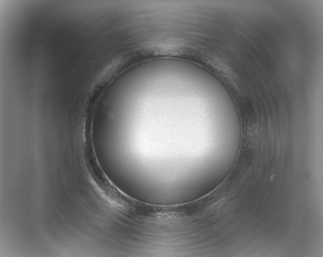 X0000068720686200605051433