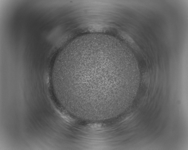 X0000068720687200605051433