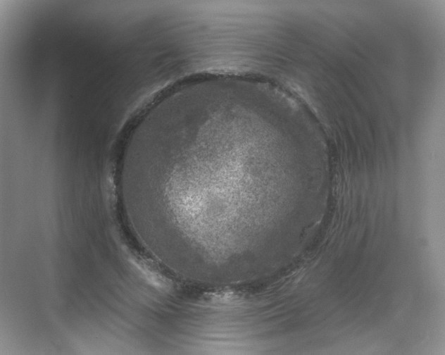 X0000068720688200605051433