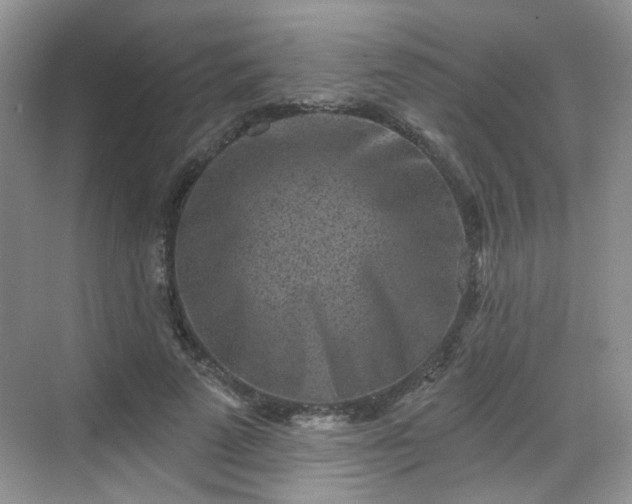 X0000068720689200605051433