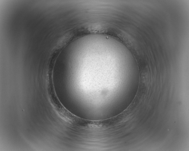 X0000068720690200605051433