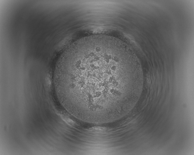 X0000068720691200605051433