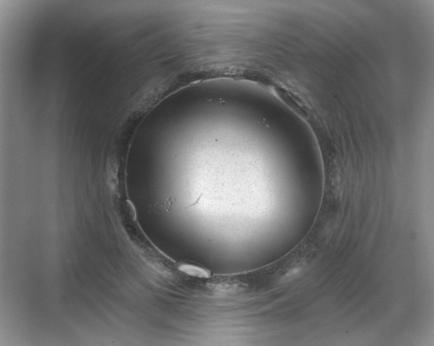 X0000068720693200605051433