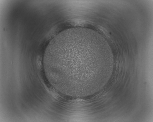 X0000068720695200605051433