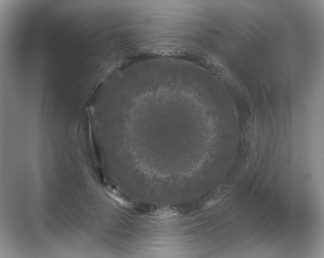 X0000068720696200605051433