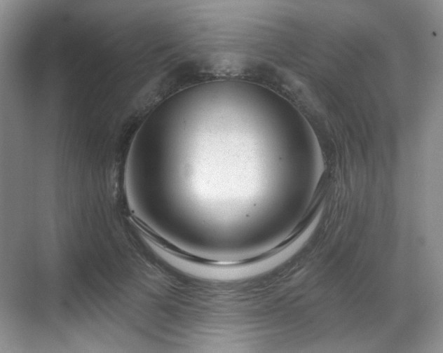 X0000068720697200605051433