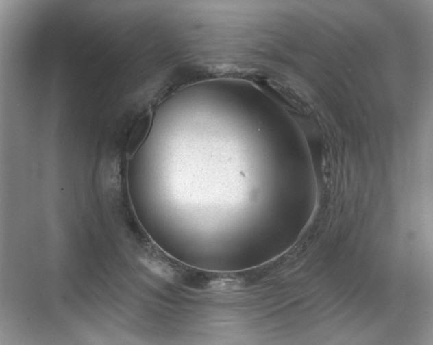 X0000068720700200605051433