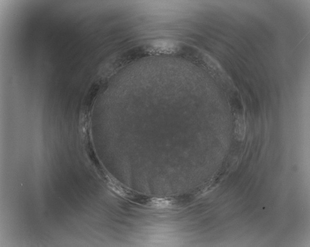 X0000068720701200605051433