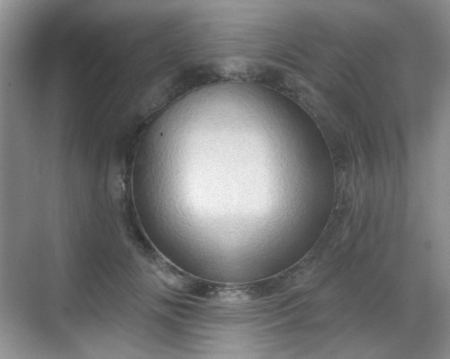 X0000068720702200605051433