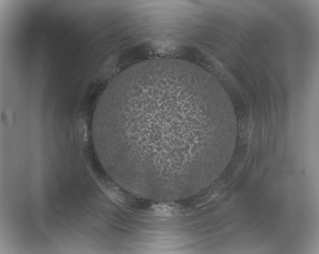 X0000068720703200605051433