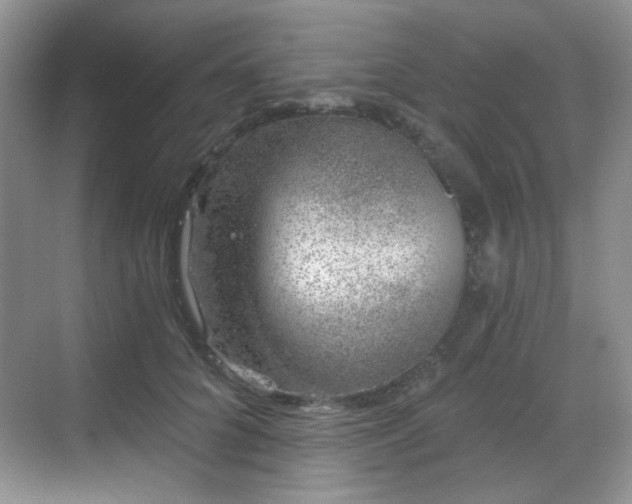 X0000068720704200605051433