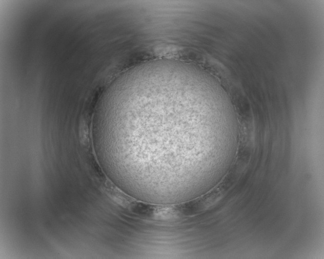 X0000068720705200605051433