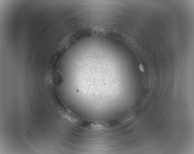 X0000068720706200605051433