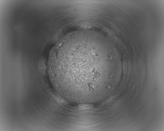 X0000068720707200605051433