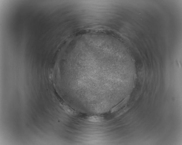 X0000068720708200605051433