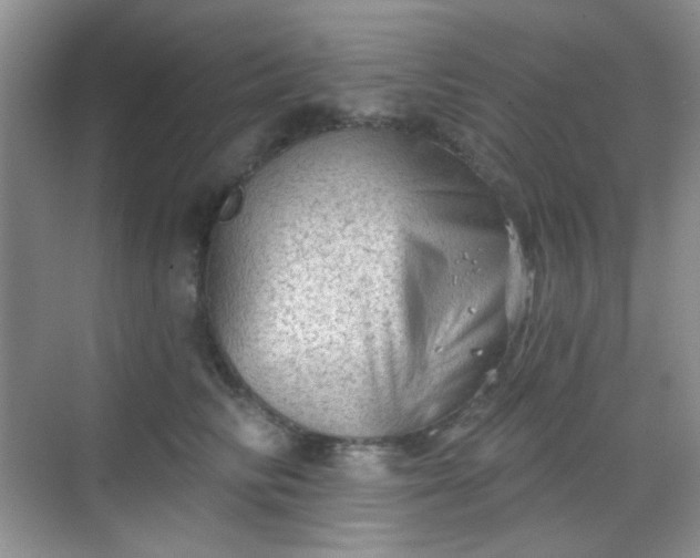 X0000068720710200605051433