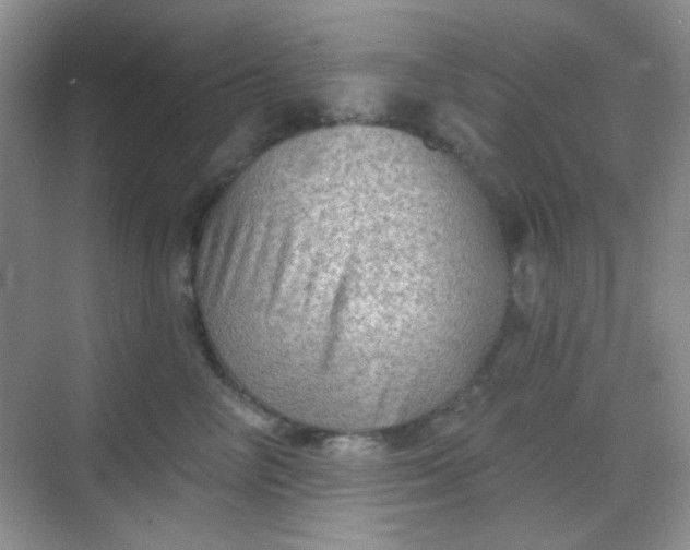 X0000068720714200605051433