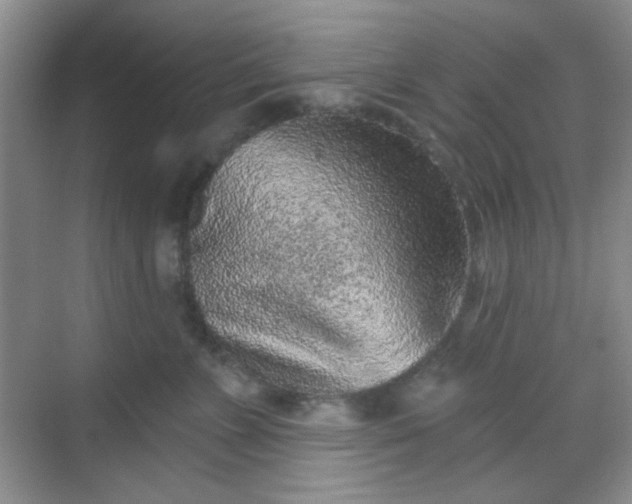 X0000068720715200605051433