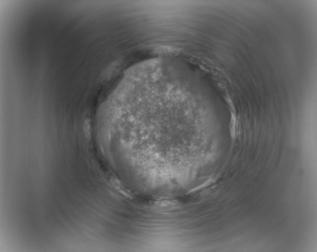 X0000068720716200605051433