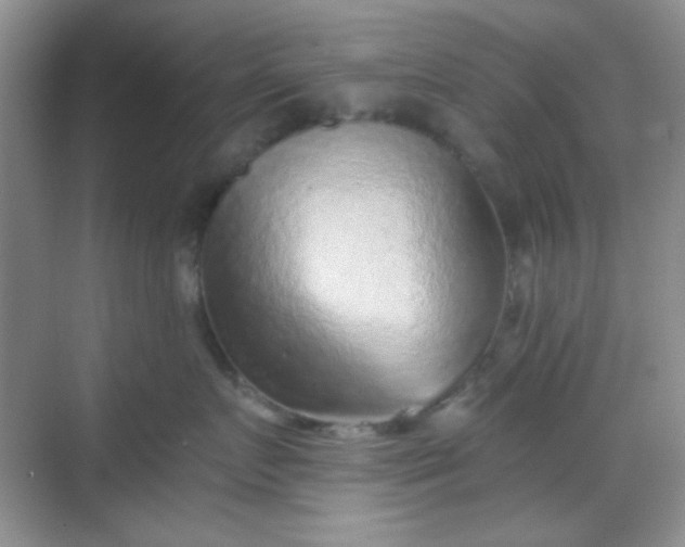 X0000068720719200605051433