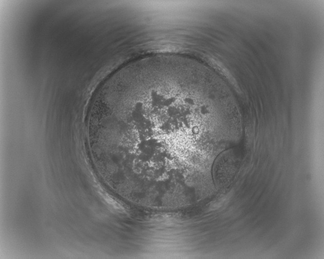 X0000068720721200605051432