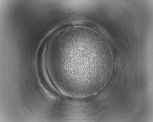 X0000068720722200605051432