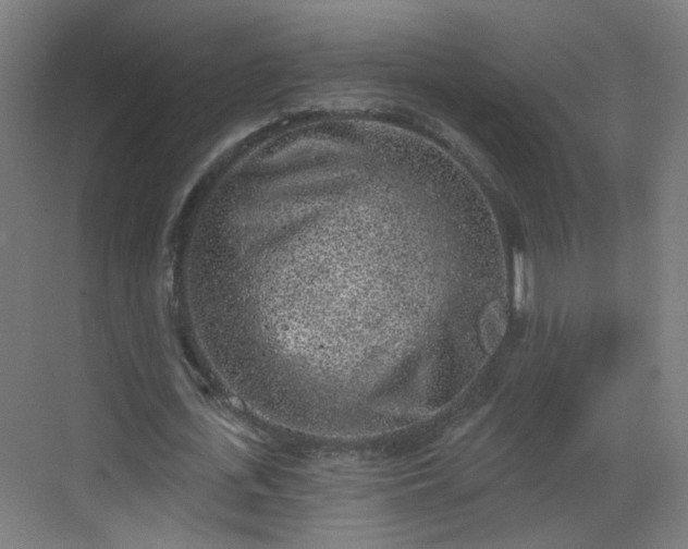 X0000068720723200605051432