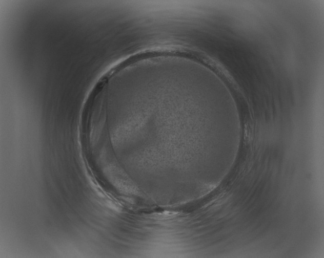 X0000068720724200605051432