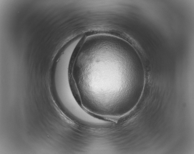 X0000068720725200605051432