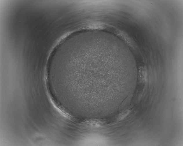 X0000068720726200605051432