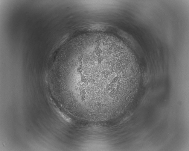 X0000068720729200605051432