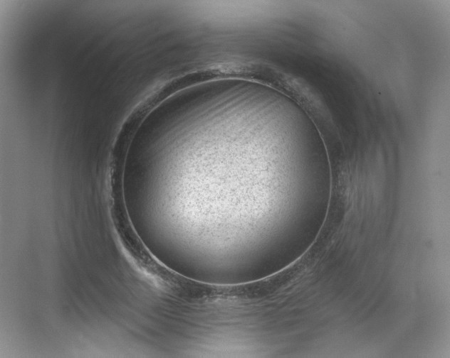 X0000068720730200605051432